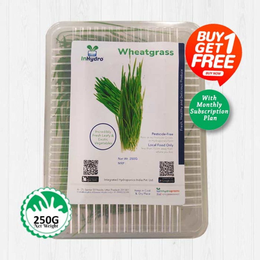 Wheatgrass Pack Monthly Subscription 250gm