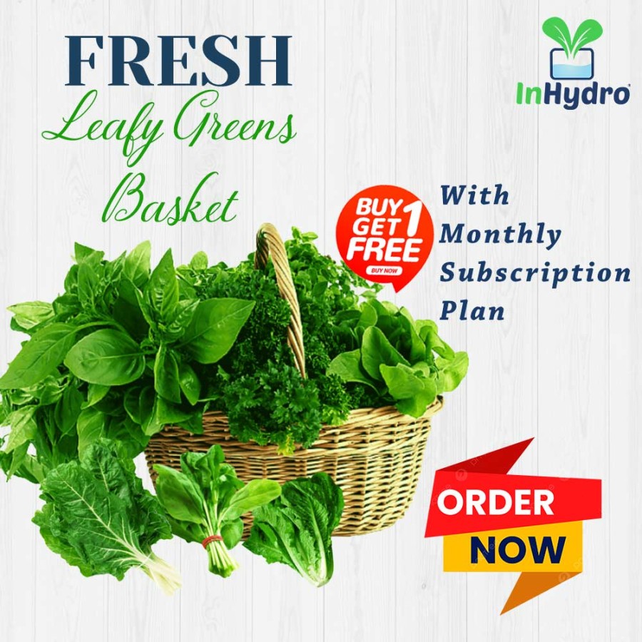 Leafy Green Basket Monthly Subscription 500gm