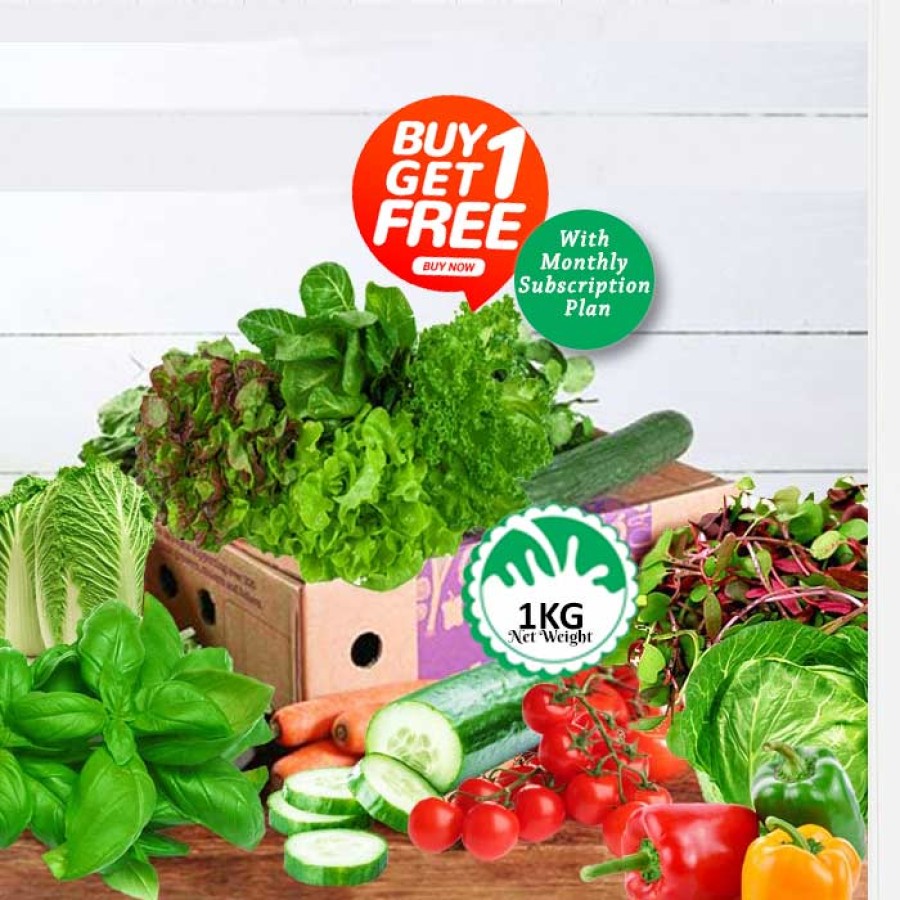 Mix Salad Box Monthly Subscription Pack 1KG