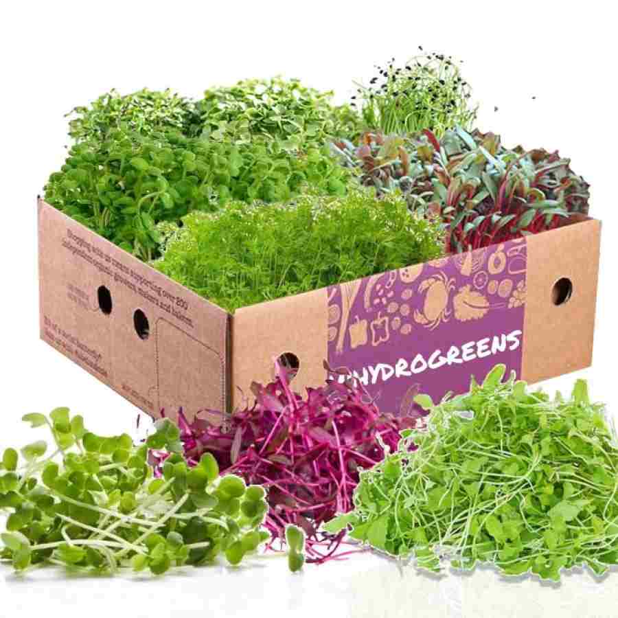 Mix Microgreens Box