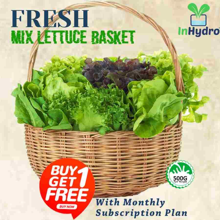 Mix Lettuce Basket Monthly Subscription Pack 500gm