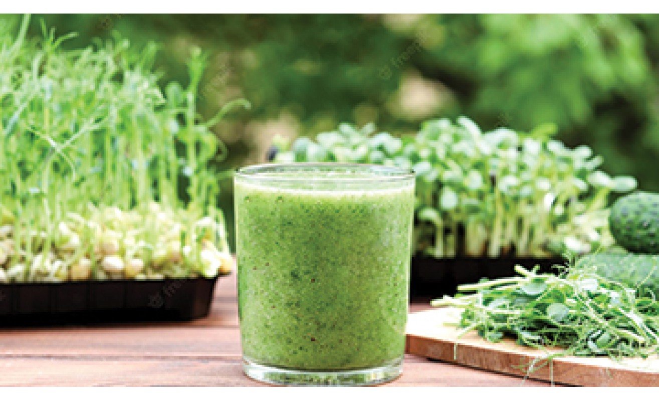 Microgreens Smoothies Juice