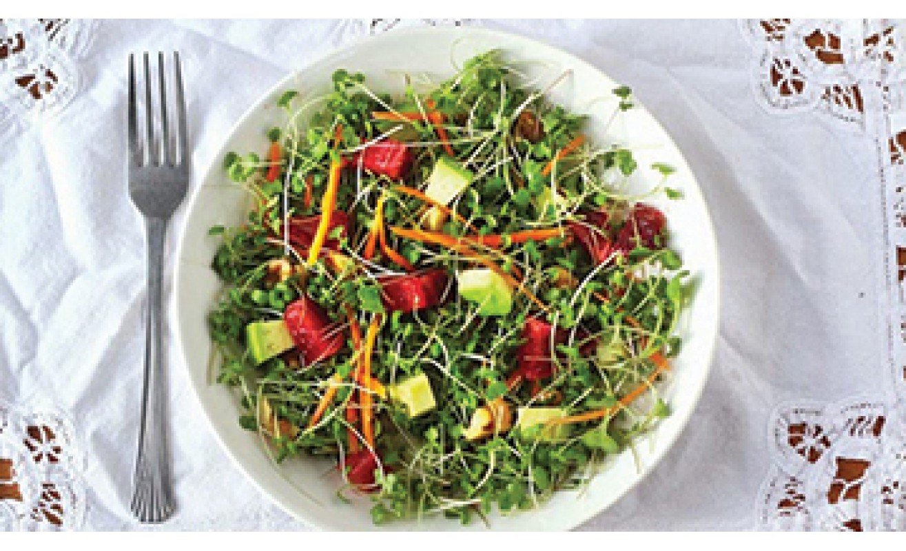 Microgreens Spring Salad