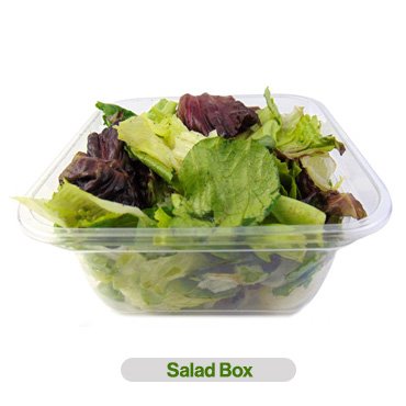 Salad Boxes
