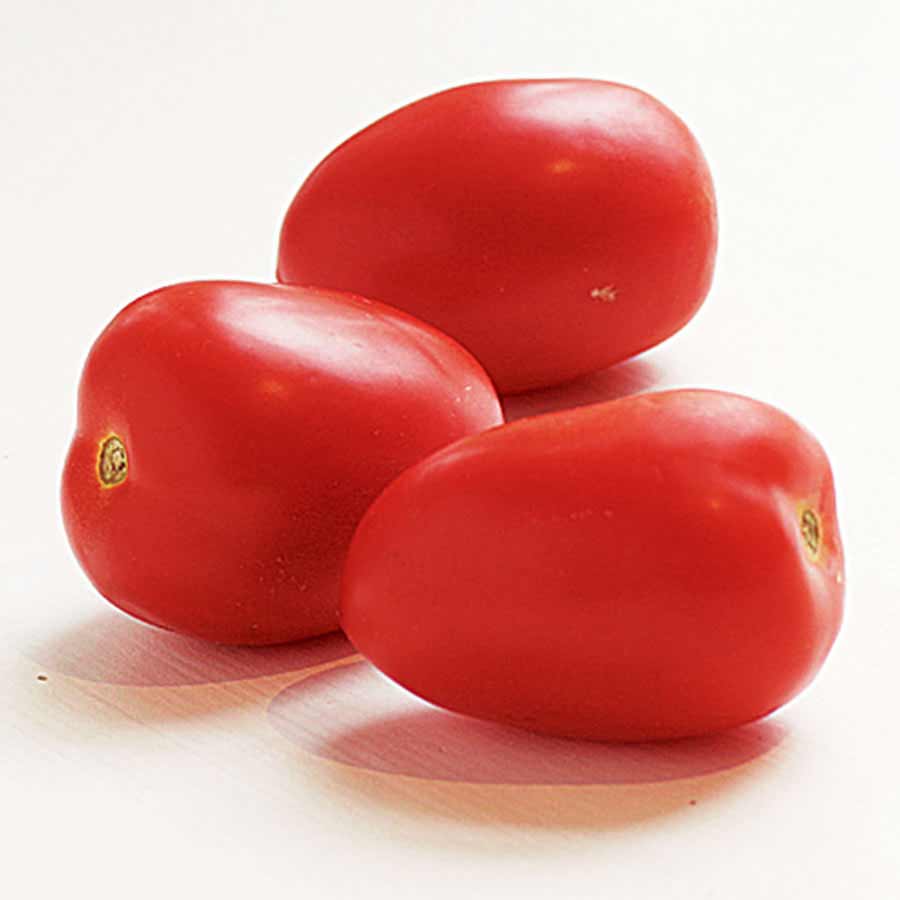  Plum Tomato(प्लम टमाटर)-500g