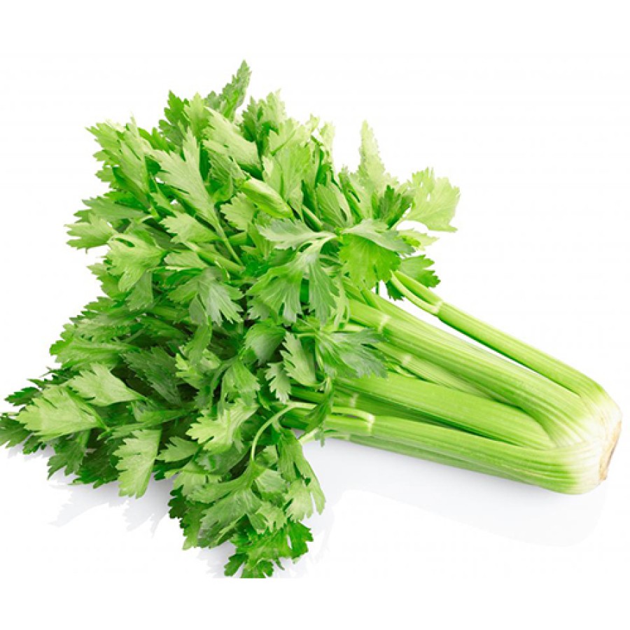 Celery(सेलरी)-100g