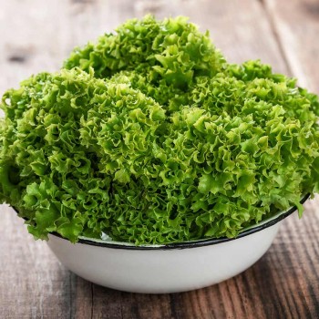 Lettuce Green(लेट्यूस ग्रीन) 1Pc 100-120g