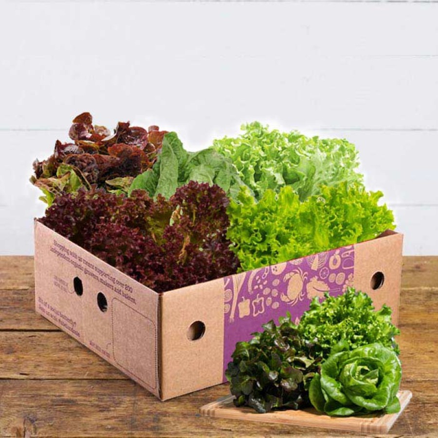 Mix Lettuce Box