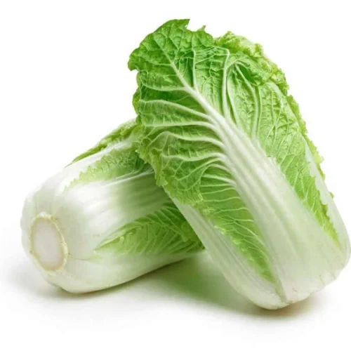 Chinese cabbage x Inhydrogreens Fresh Chinese Cabbage g Inhydrogreens Same day Delivery in Delhi Ncr