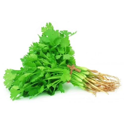 Coriander x Inhydrogreens Fresh Coriander g Inhydrogreens Same day Delivery in Delhi Ncr