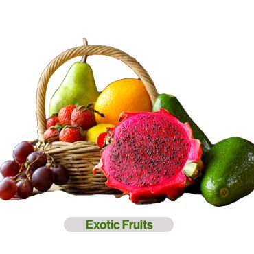 Fruit-Basket.jpg