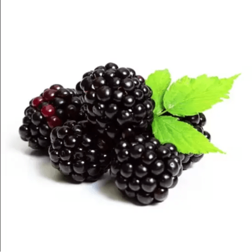 Blackberries gm Inhydrogreens Fresh Blackberries gm Inhydrogreens Same day Delivery in Delhi Ncr