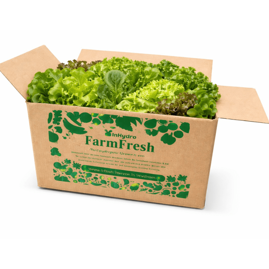 Mix Lettuce Box