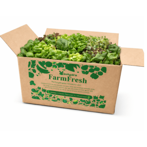 Fresh Leafy Green Box - Mixed – close-up – InHydroGreens, same-day delivery in Delhi NCR