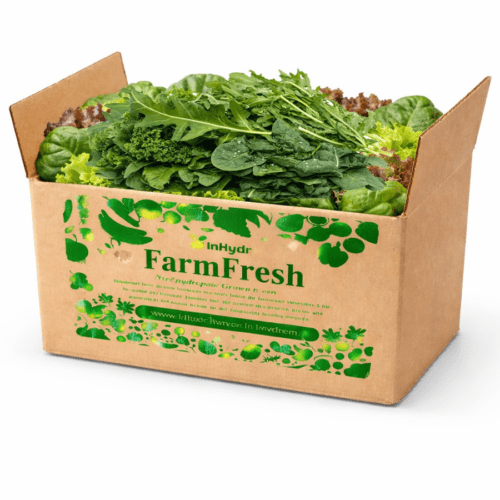 Leafy Green Box Mixed Inhydrogreens Fresh Leafy Green Box Mixed Inhydrogreens Same day Delivery in Delhi Ncr
