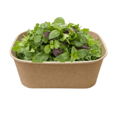 Fresh Mix Herbs Box  Close up  Inhydrogreens Same day Delivery in Delhi Ncr