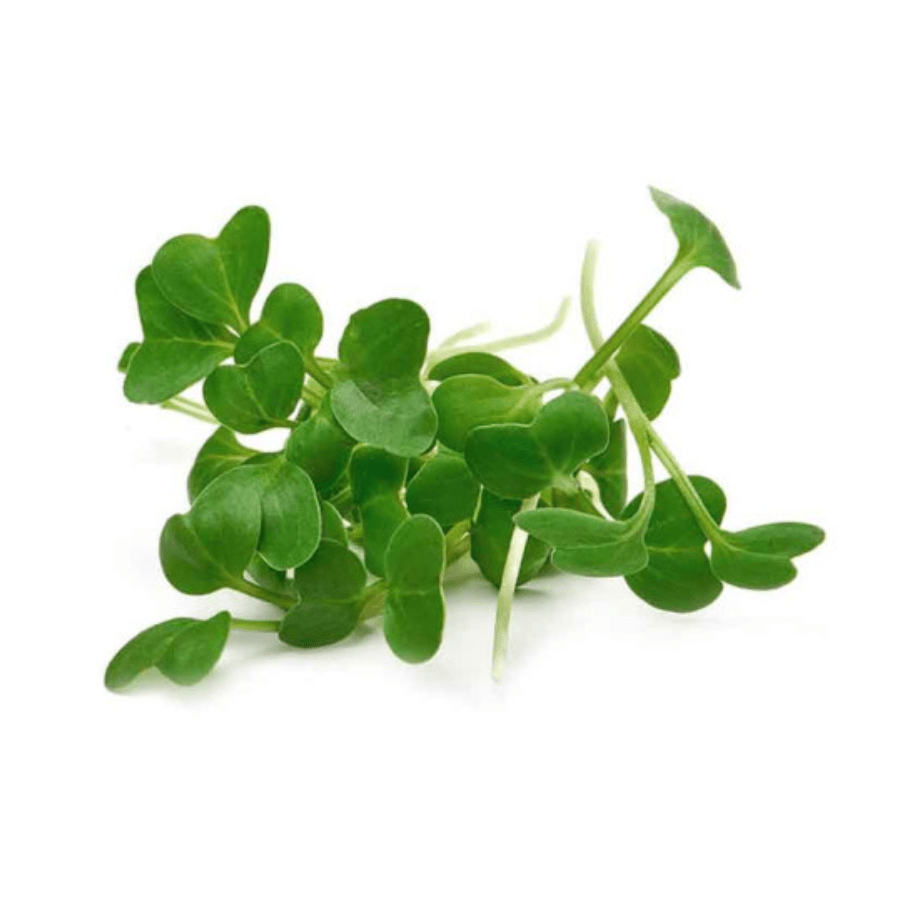 Broccoli Microgreens (ब्रॉकली माइक्रोग्रीन) – 100g | Fresh Hydroponic & Pesticide-Free