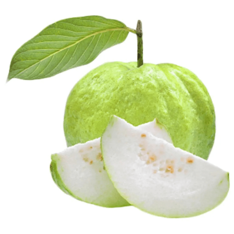 Guava – fruit basket InHydroGreens