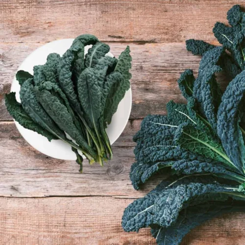 Fresh American Kale - 200g – close-up – InHydroGreens, same-day delivery in Delhi NCR