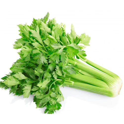 Celery x Inhydrogreens Fresh Celery g Inhydrogreens Same day Delivery in Delhi Ncr