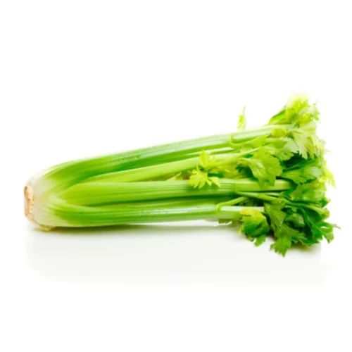 Fresh Celery – 450-500g – close-up – InHydroGreens, same-day delivery in Delhi NCR