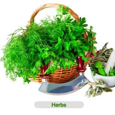 herbs-370x370