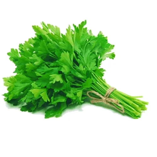 Fresh Hydroponic Parsley – 50g – InHydroGreens, same-day delivery in Delhi NCR