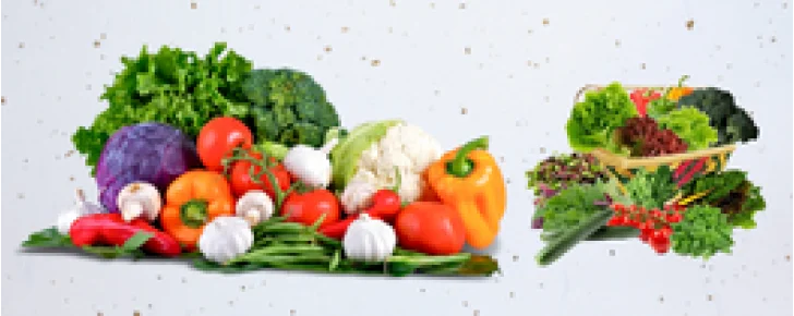 inhydrogreens blog side-728x290