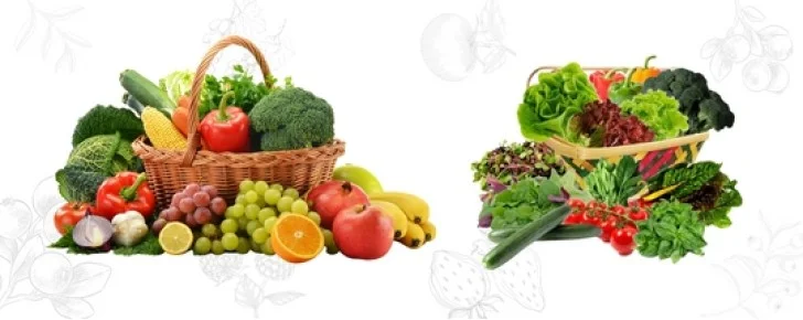 inhydrogreens blog side main-728x290