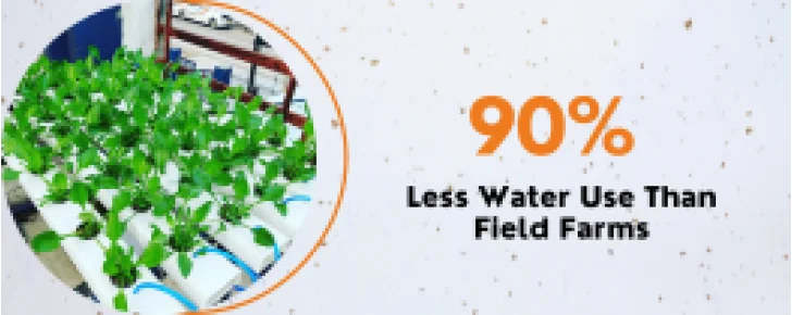 inhydrogreens less water-728x290