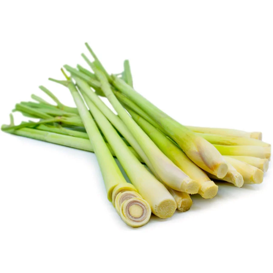 Fresh Lemongrass (เคฒเฅเคฎเคจ เคเฅเคฐเคพเคธ) โ 250g | Aromatic, Natural & Chemical-Free