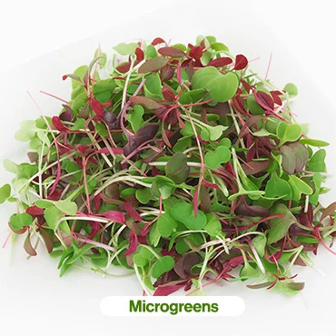 microgreens-370x370