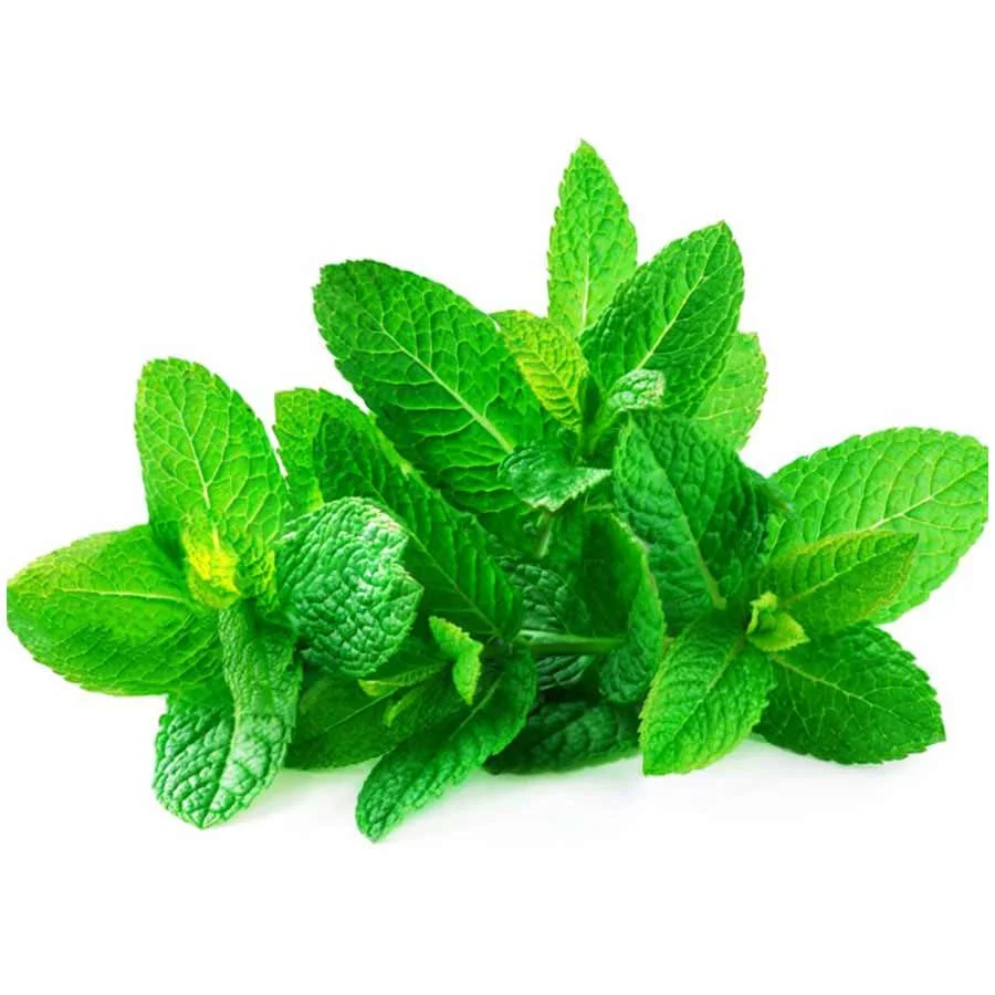 Hydroponic Mint (เคชเฅเคฆเฅเคจเคพ) โ 100g | Fresh, Pesticide-Free Pudina Leaves