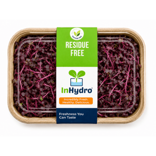 Fresh Red Amaranth Microgreen – close-up – InHydroGreens, same-day delivery in Delhi NCR