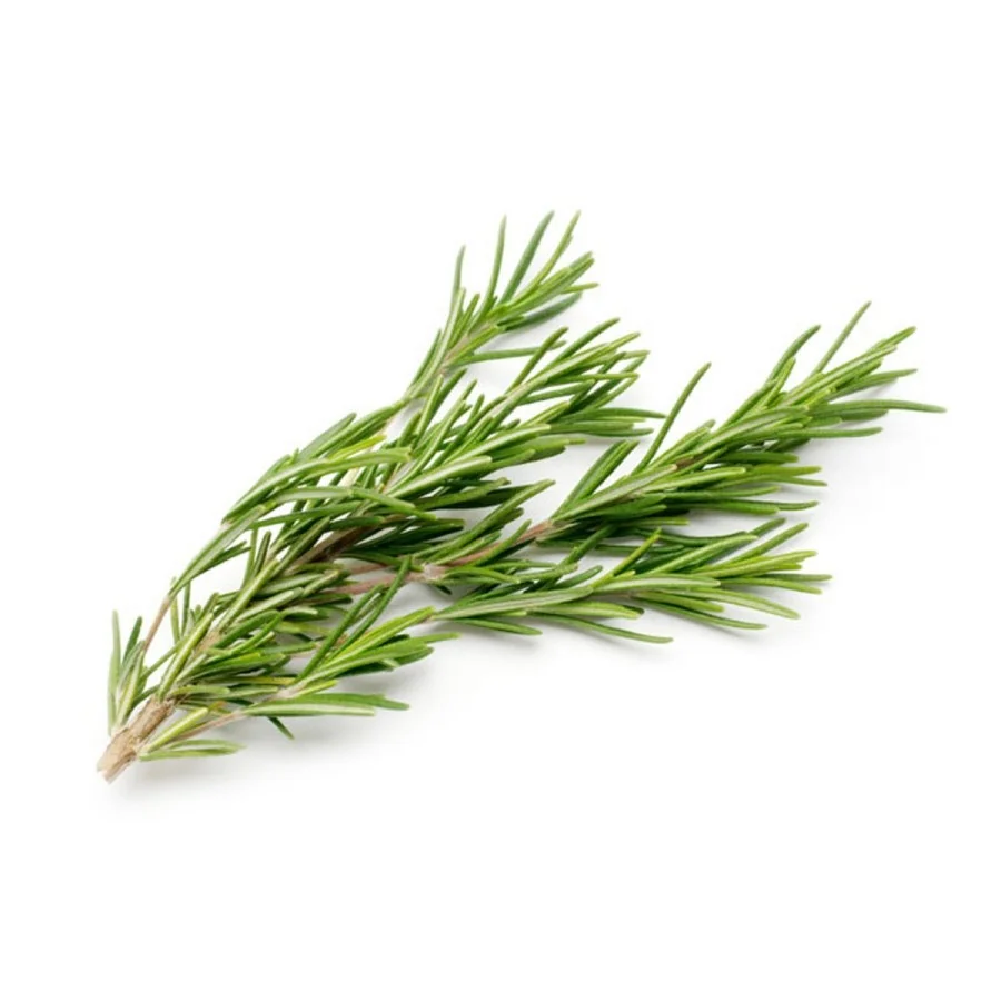 Fresh Rosemary (เคฐเฅเคเคผเคฎเฅเคฐเฅ) 100g โ Handpicked, Fragrant & Farm Fresh