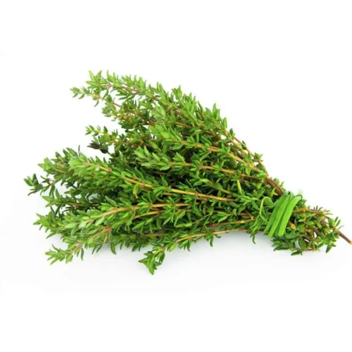 Fresh Hydroponic Thyme – 50g – InHydroGreens, same-day delivery in Delhi NCR