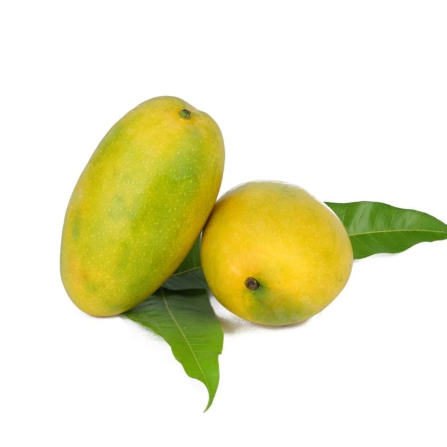 Imam Pasand Mango ( เคเคฎเคพเคฎ เคชเคธเคเคฆ) โ 1 Pc | Royal Taste & Fiberless Texture