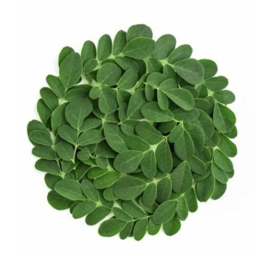 Fresh Moringa Leaves - 50g – InHydroGreens, same-day delivery in Delhi NCR