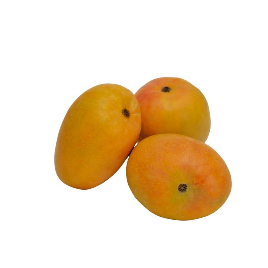 Alphonso Mango (Hapus - เคนเคพเคชเฅเคธ) โ 1 Pc | Aromatic, Buttery & Carbide-Free