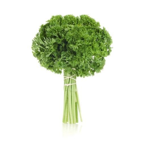 Fresh Curly Parsley – 99g – close-up – InHydroGreens, same-day delivery in Delhi NCR