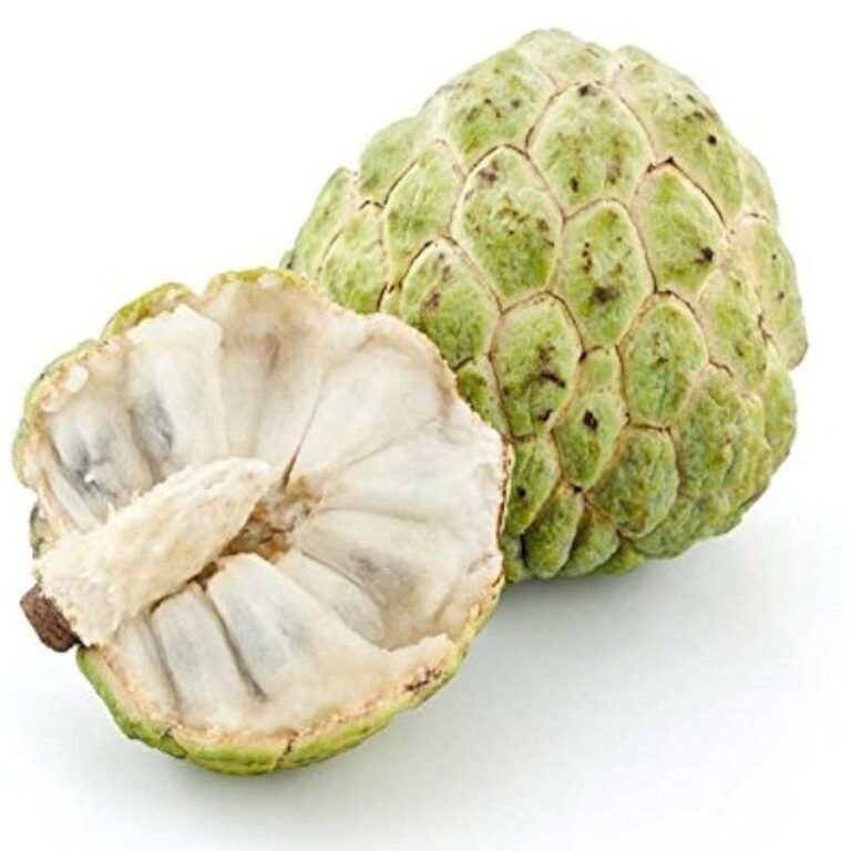 Custard Apple – fruit basket InHydroGreens