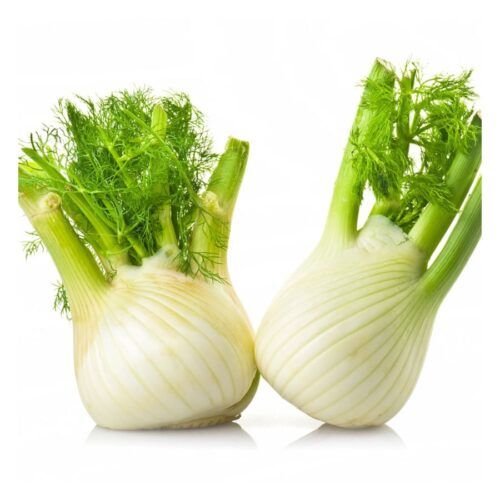 Fresh Fennel Bulb   gm  Close up  Inhydrogreens Same day Delivery in Delhi Ncr