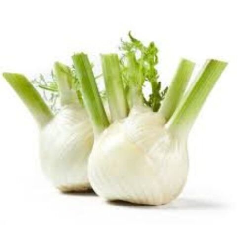 Fennel Bulb gm Inhydrogreens Fresh Fennel Bulb gm Inhydrogreens Same day Delivery in Delhi Ncr