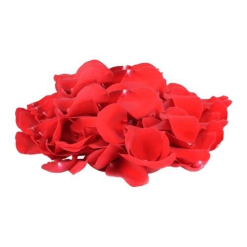 Fresh Edible Rose Petals – 30gm – close-up – InHydroGreens, same-day delivery in Delhi NCR