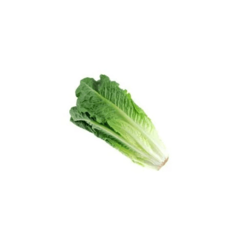 Baby Vegetables – InHydroGreens Delhi NCR