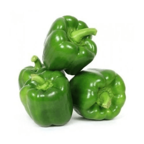 Fresh Green Bell Pepper - 400-500g – InHydroGreens, same-day delivery in Delhi NCR