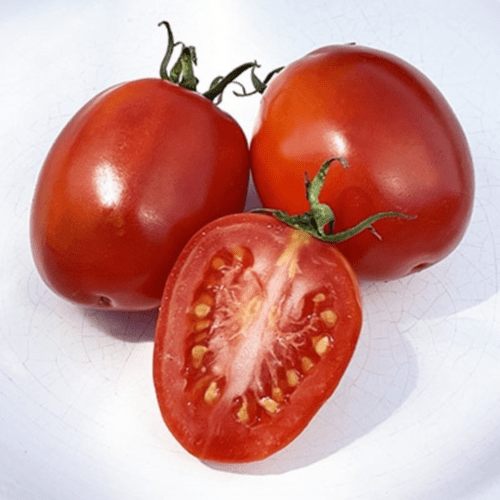 Fresh Plum Tomato - 250g – close-up – InHydroGreens, same-day delivery in Delhi NCR