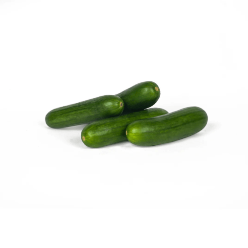 Fresh Cucumber – close-up – InHydroGreens, same-day delivery in Delhi NCR