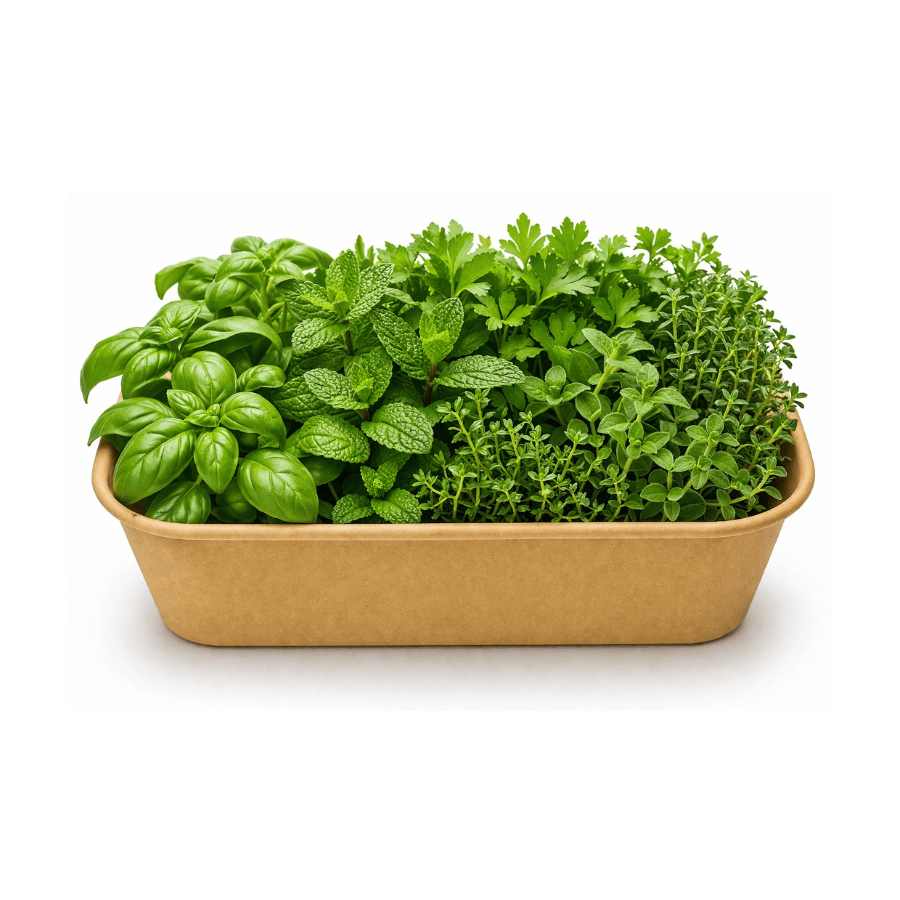 Fresh Mixed Herbs | Basil, Mint, Parsley, Thyme & Oregano | Pesticide-Free & Hydroponically Grown