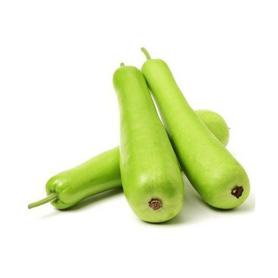 Bottle Gourd (เคฒเฅเคเฅ / เคเคฟเคฏเคพ) - 500g | Tender, Juicy & Hydroponic